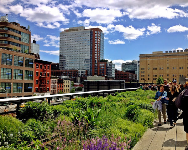 As We Stroll Along The Highline in NYC