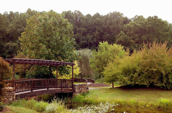 A Local Gem | Meadowlark Botanical Gardens