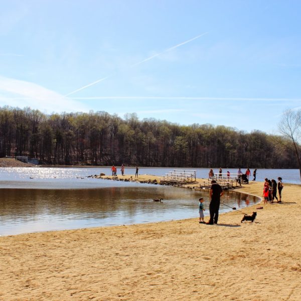 Lake Accotink Al Fresco