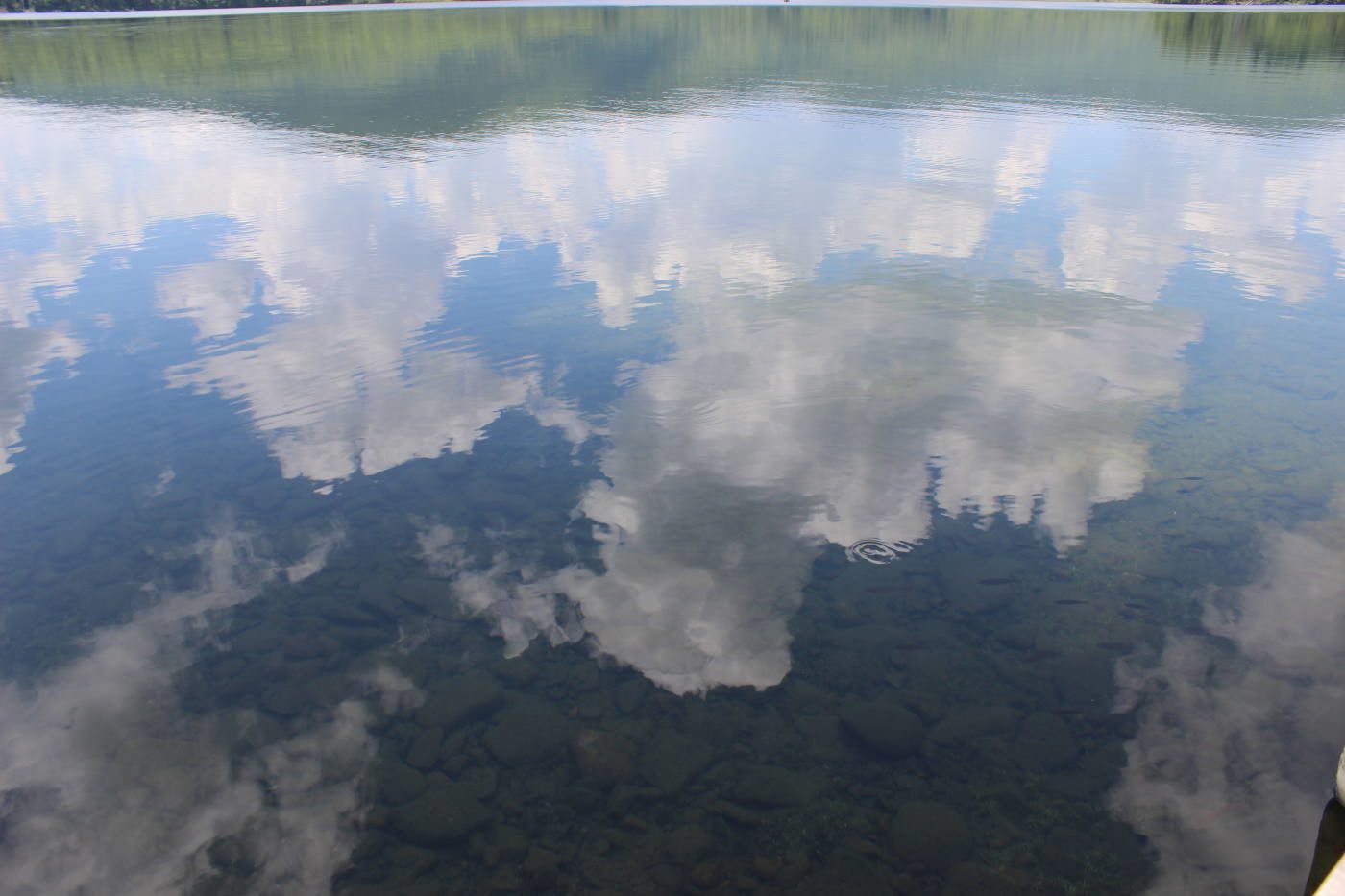 maine lake life