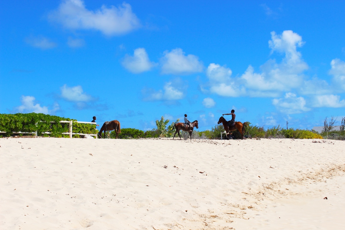 grand-turk-pillory-beach.jpg