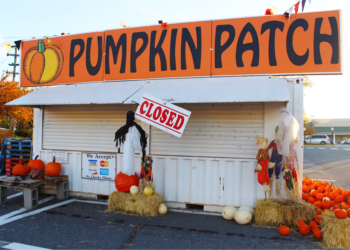 self-portrait-sunday-pumpkin-patch.jpg