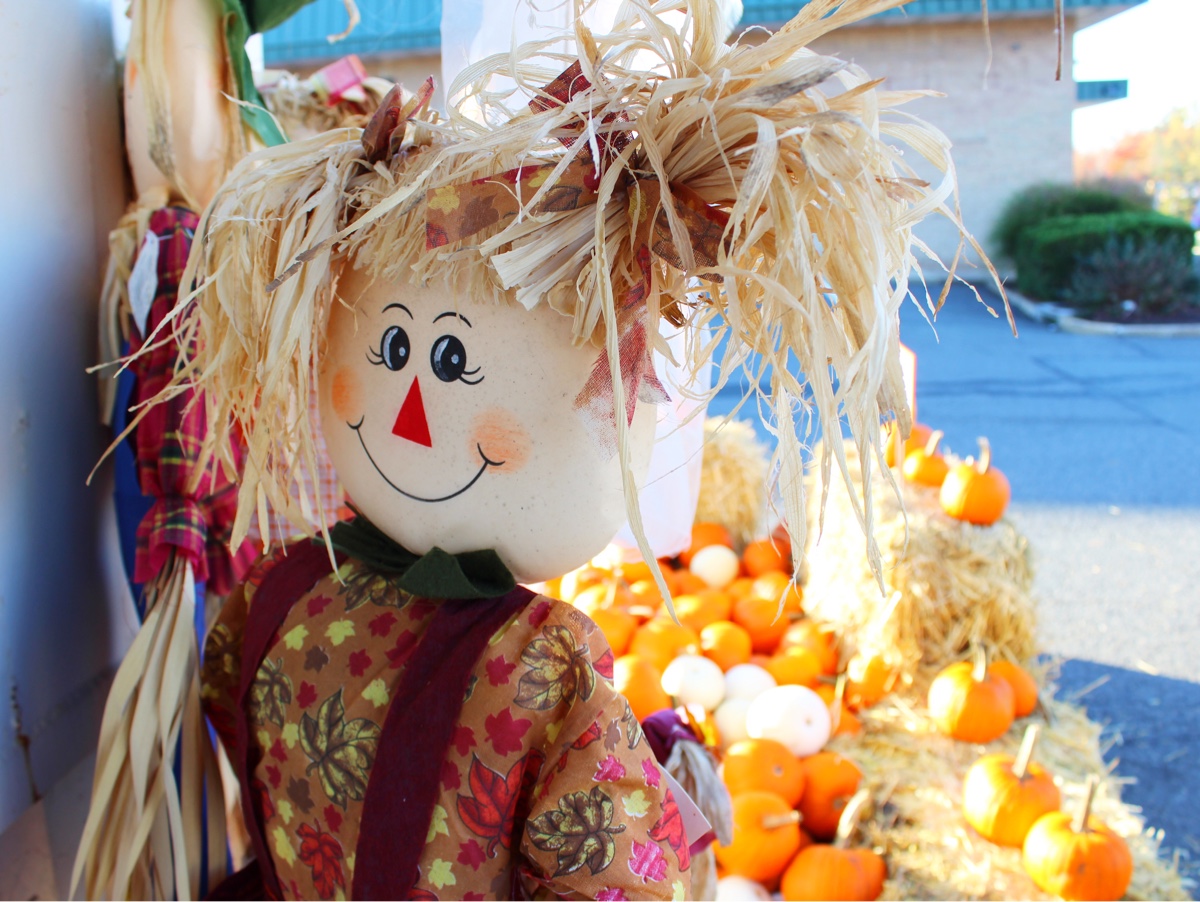 self-portrait-sunday-pumpkin-patch.jpg