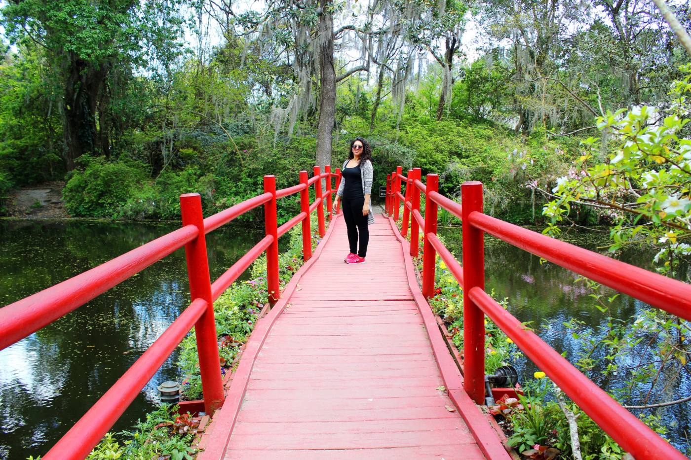 magnolia-plantation-and-gardens-setarra