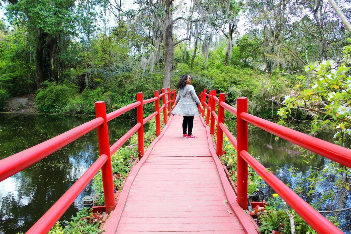 magnolia-plantation-and-gardens-setarra