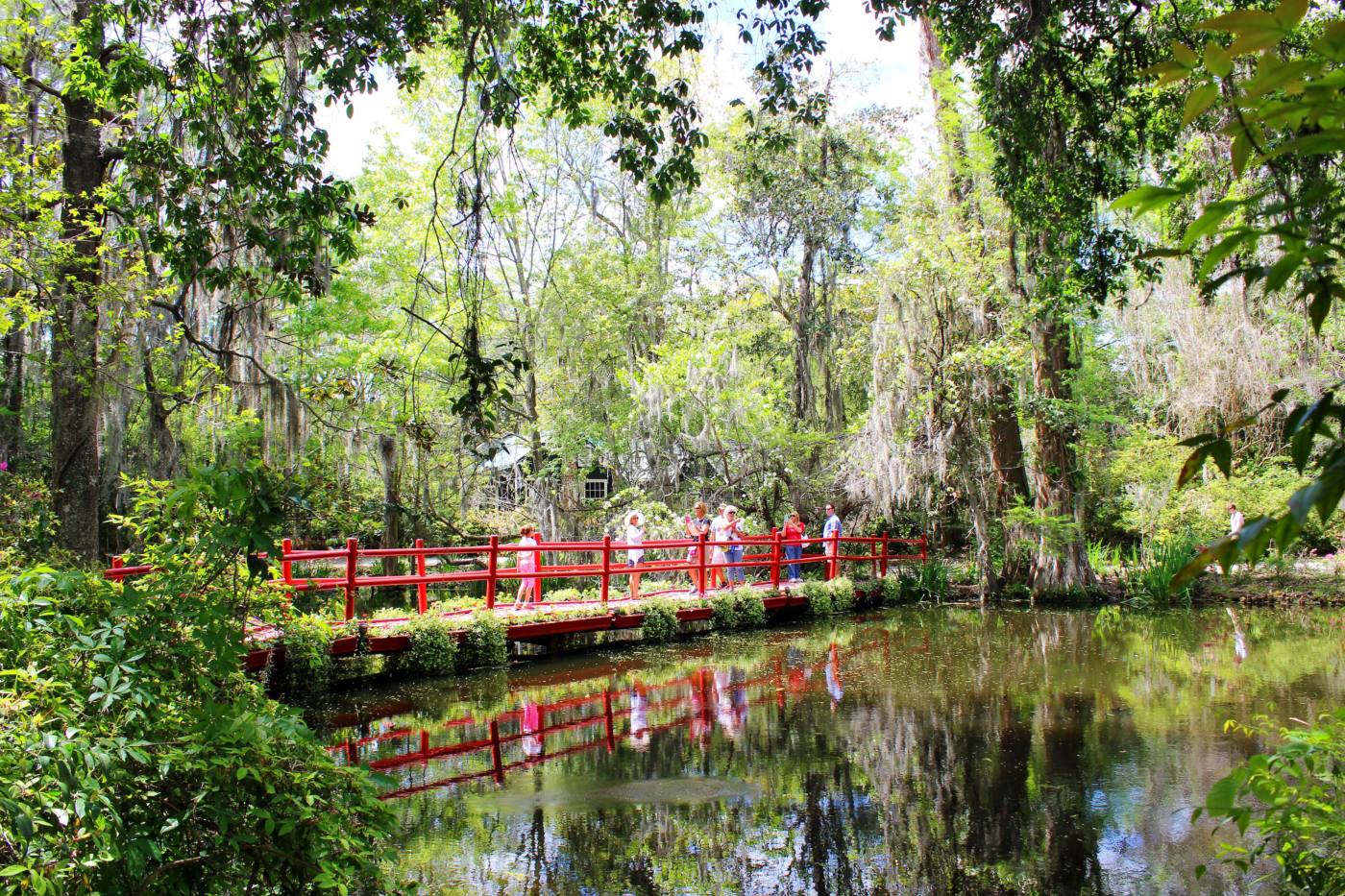 magnolia-plantation-and-gardens-setarra