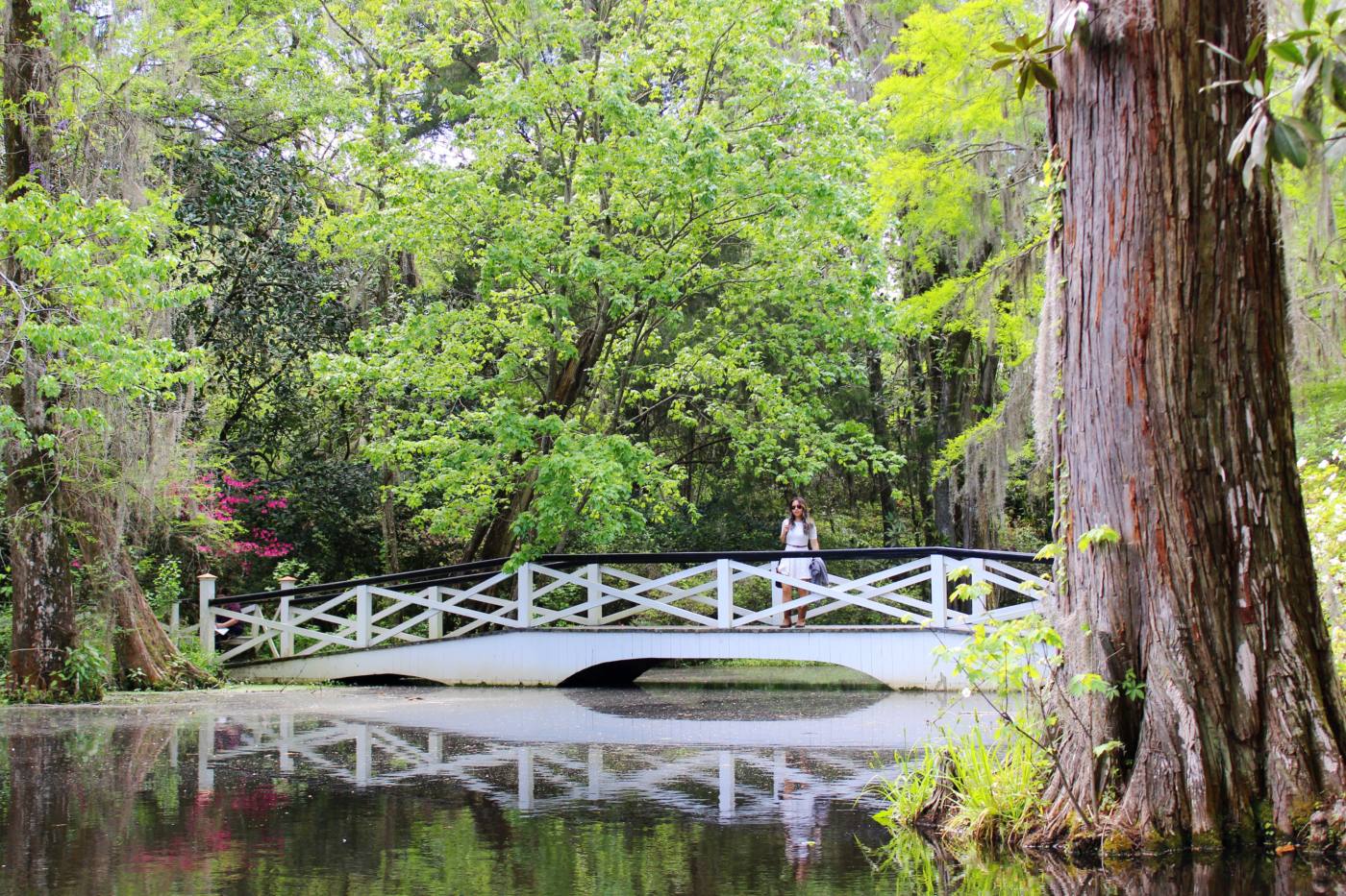 magnolia-plantation-and-gardens-setarra