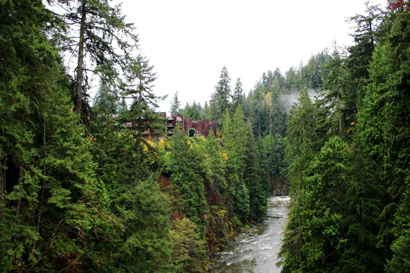 day-trip-from-seattle-to-vancouver-capilano-suspension-bridge-setarra