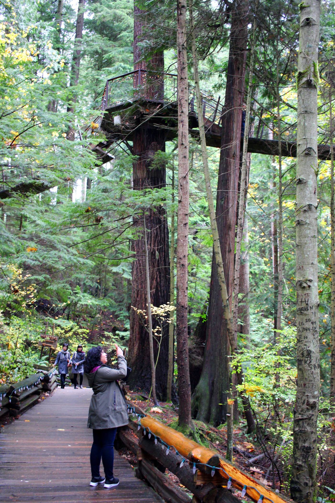 day-trip-from-seattle-to-vancouver-capilano-suspension-bridge-setarra