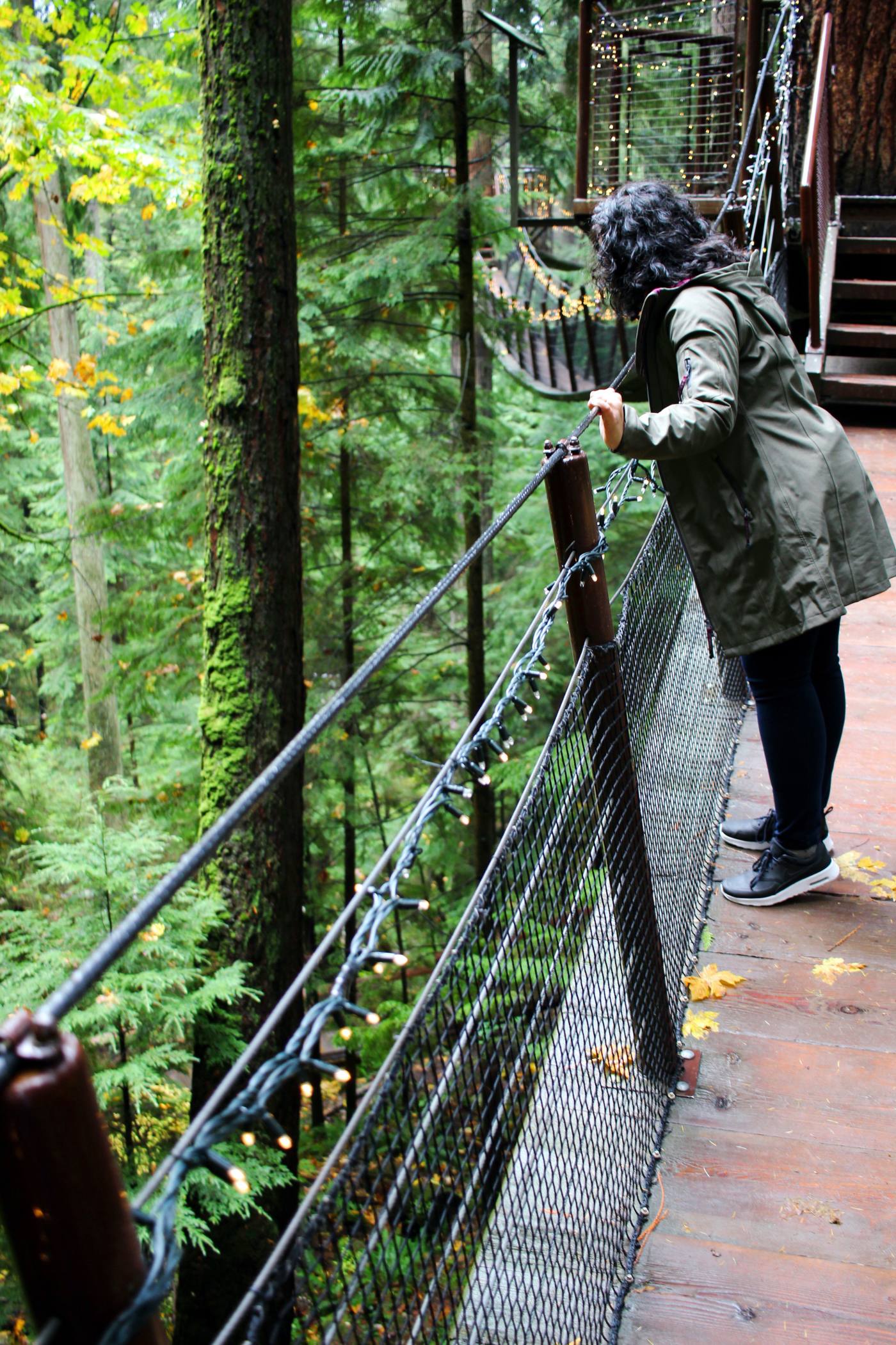 day-trip-from-seattle-to-vancouver-capilano-suspension-bridge-setarra