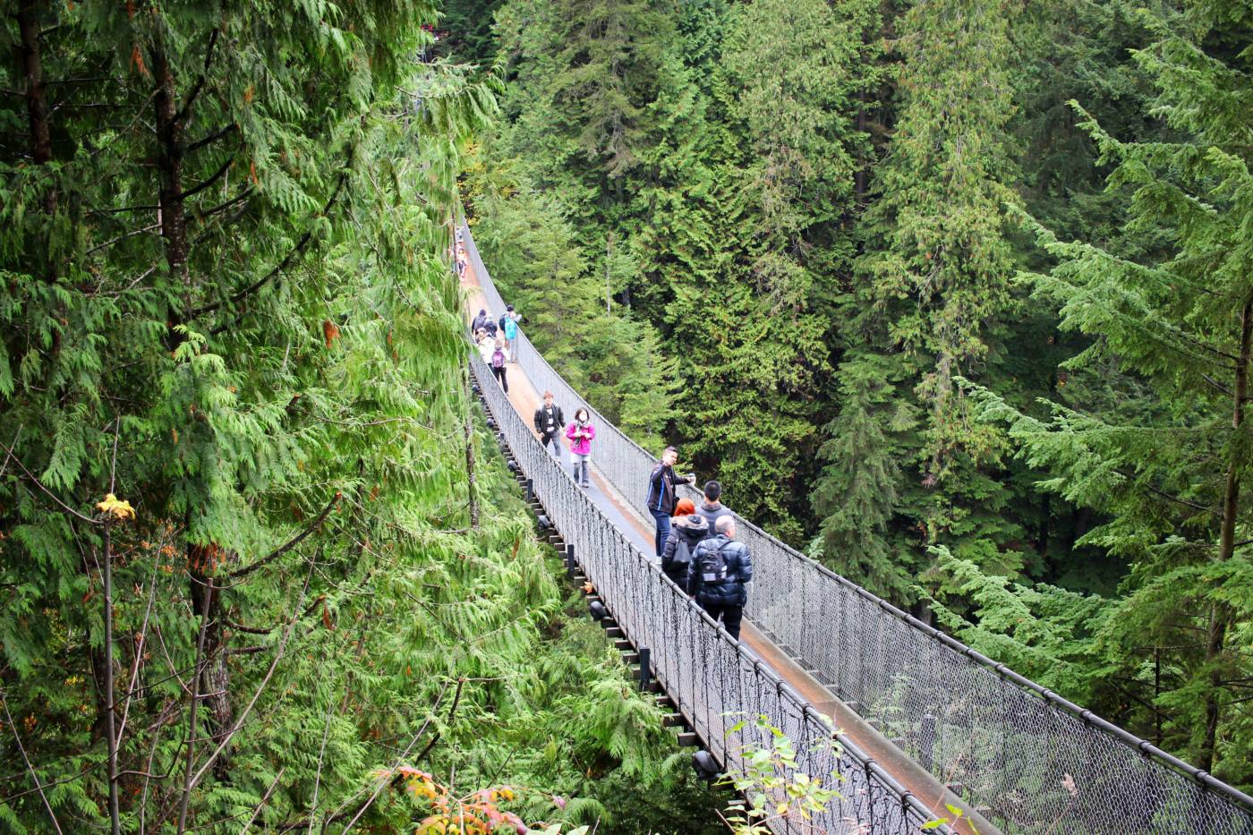 day-trip-from-seattle-to-vancouver-capilano-suspension-bridge-setarra