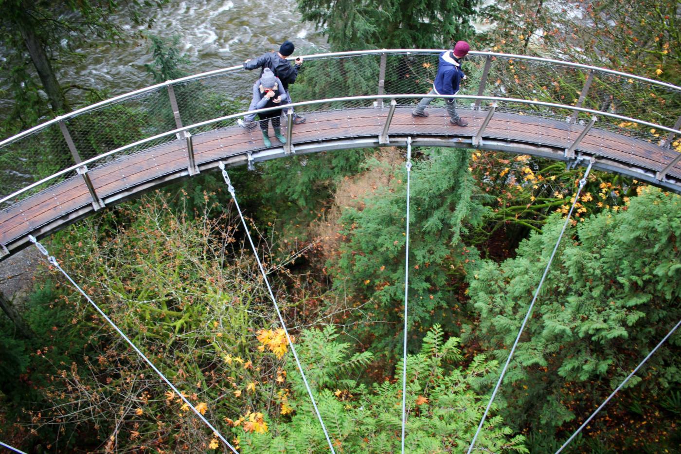 day-trip-from-seattle-to-vancouver-capilano-suspension-bridge-setarra