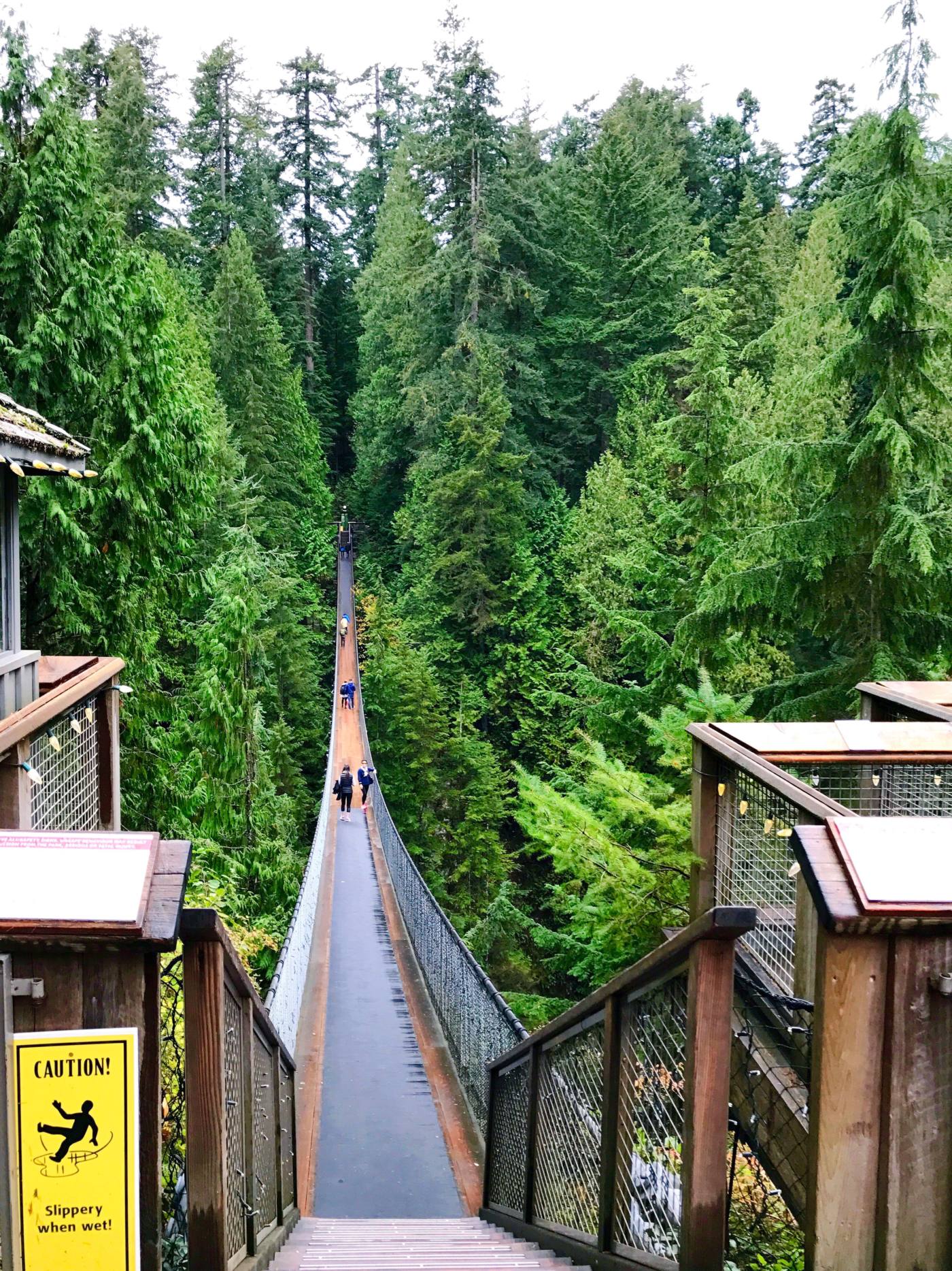 day-trip-from-seattle-to-vancouver-capilano-suspension-bridge-setarra