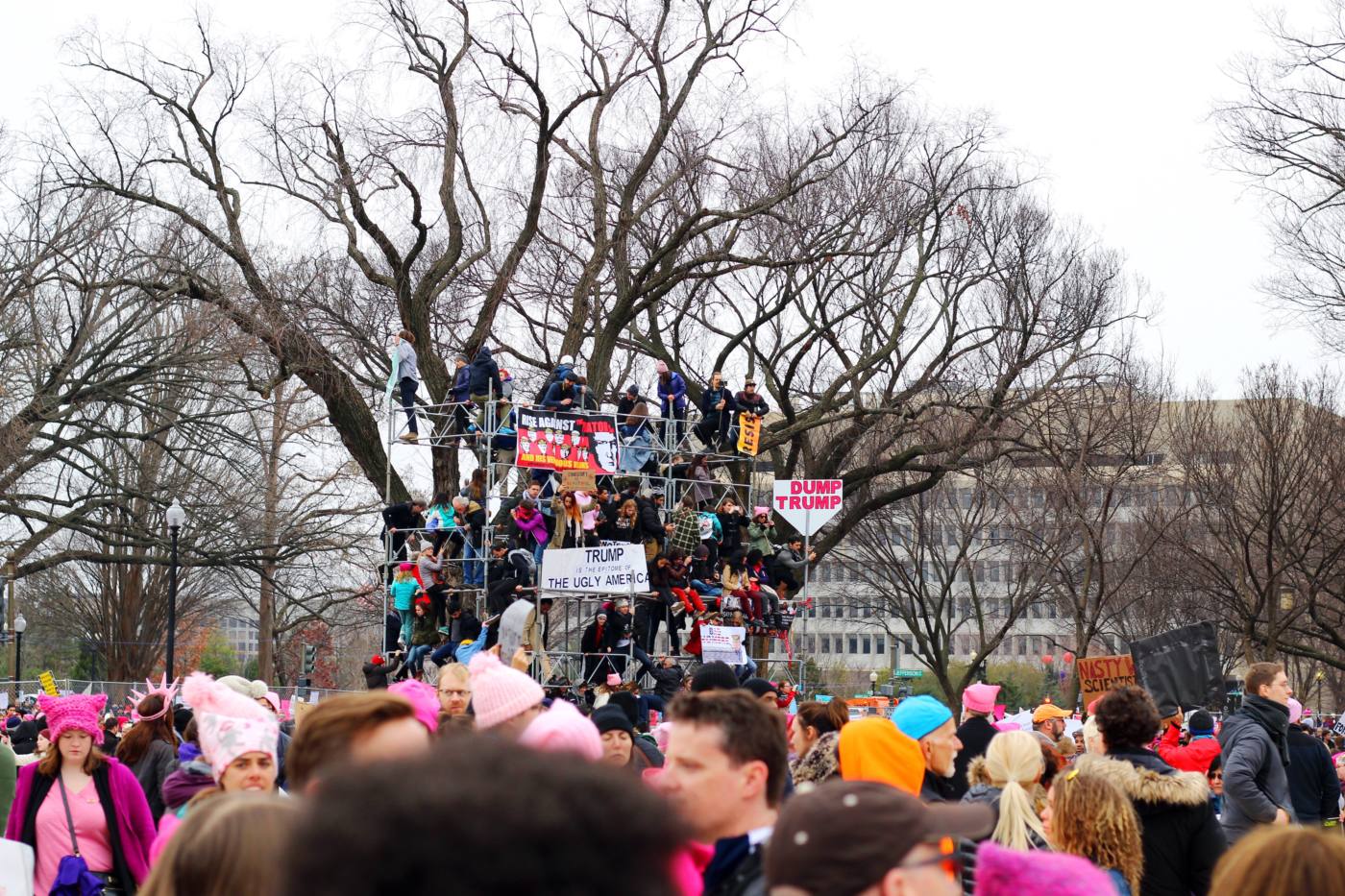 womens-march-on-washington