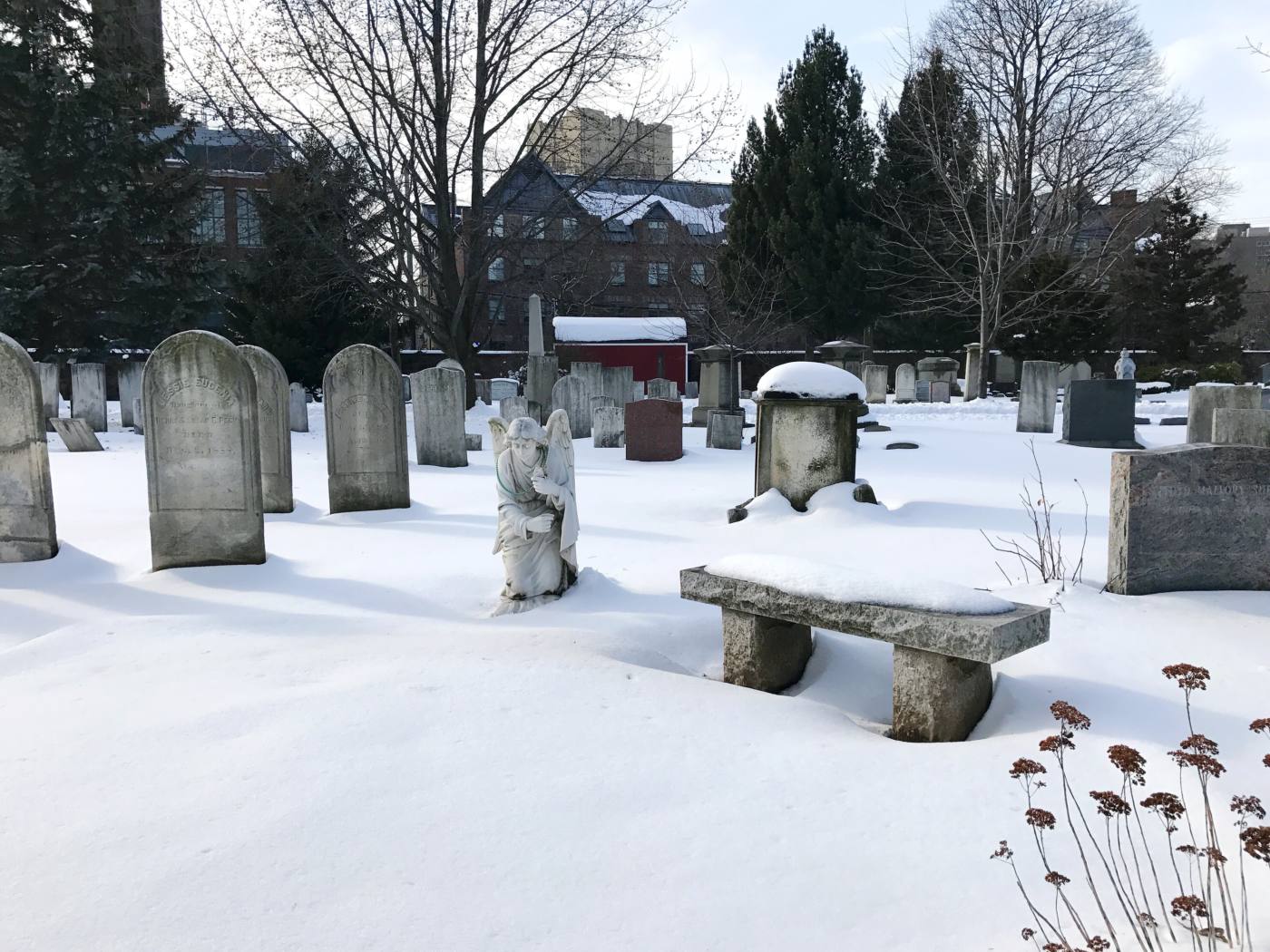 new-haven-connecticut-grove-street-cemetery-setarra