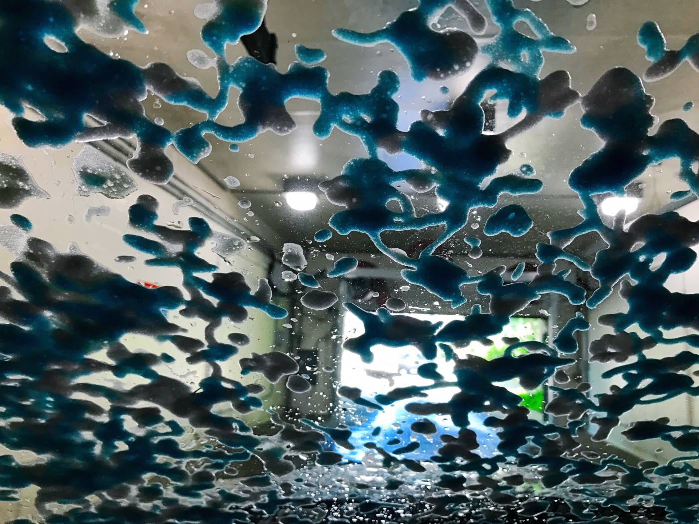 little-happenings-carwash