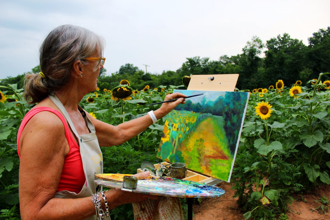 sunflower-sunset-at-mckee-beshers-maryland