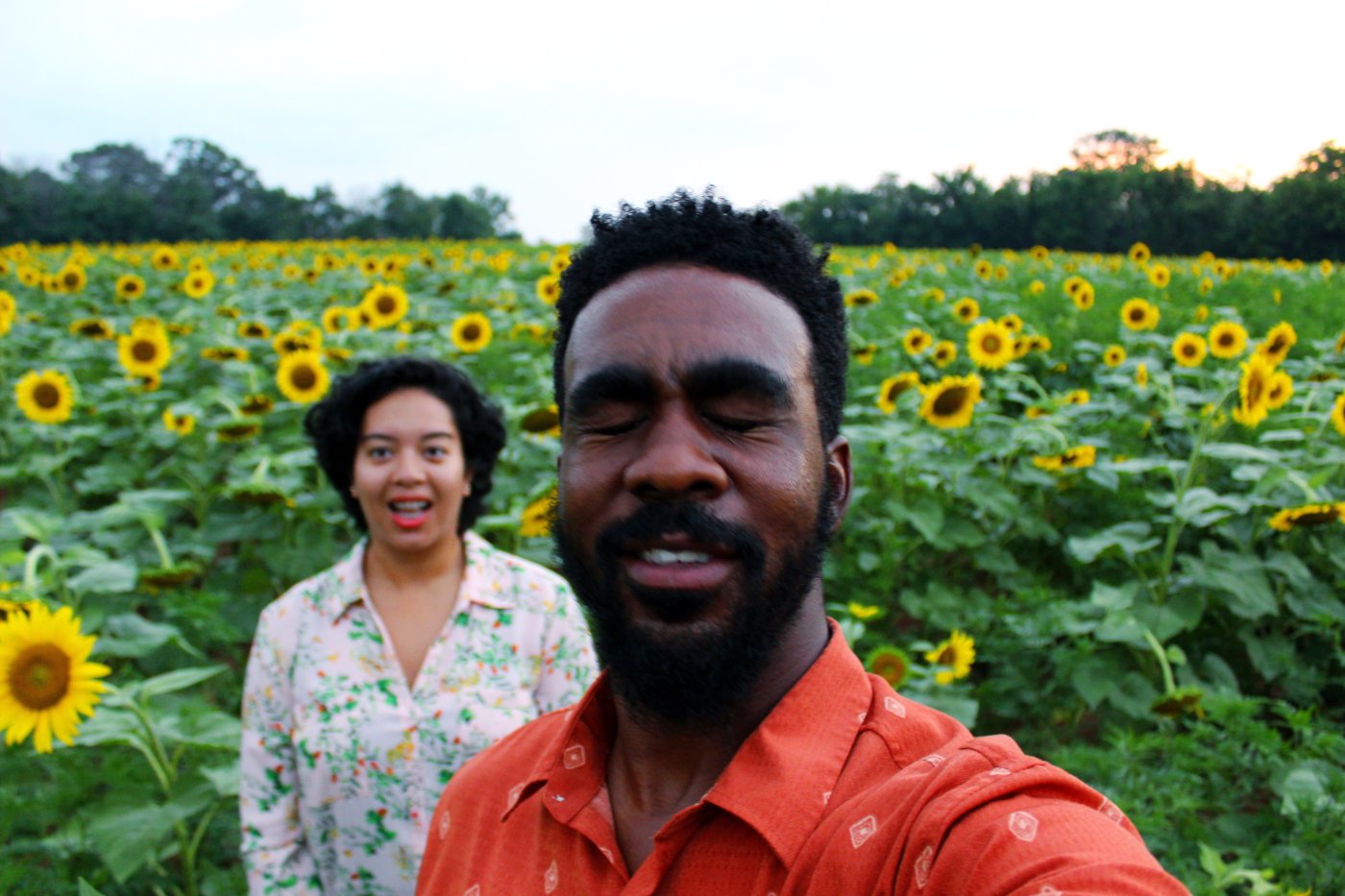 sunflower-sunset-at-mckee-beshers-maryland