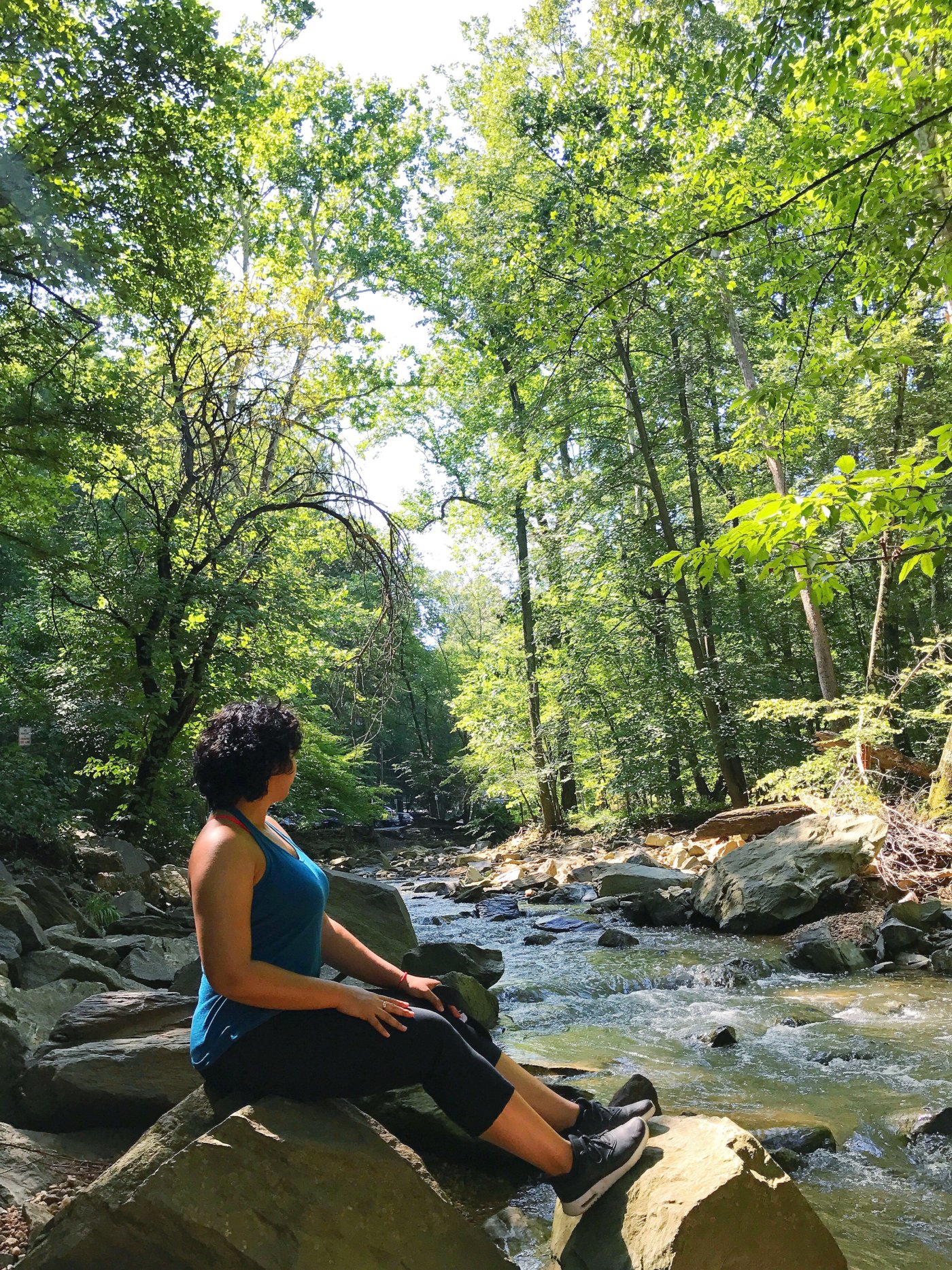 scott's-run-nature-preserve-northern-virginia