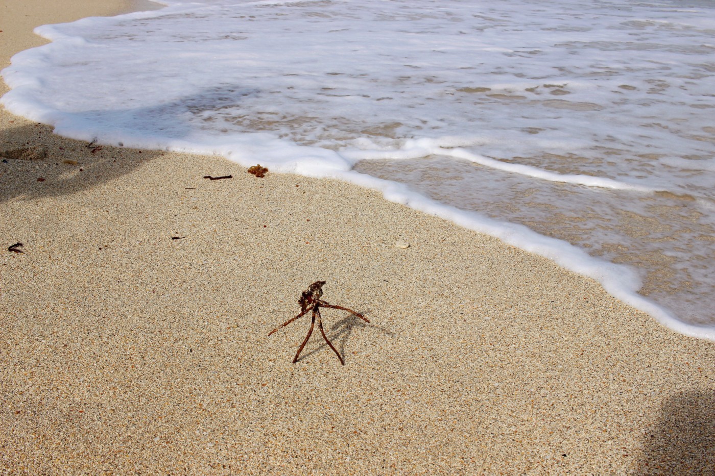 setarra-north-beach-miami