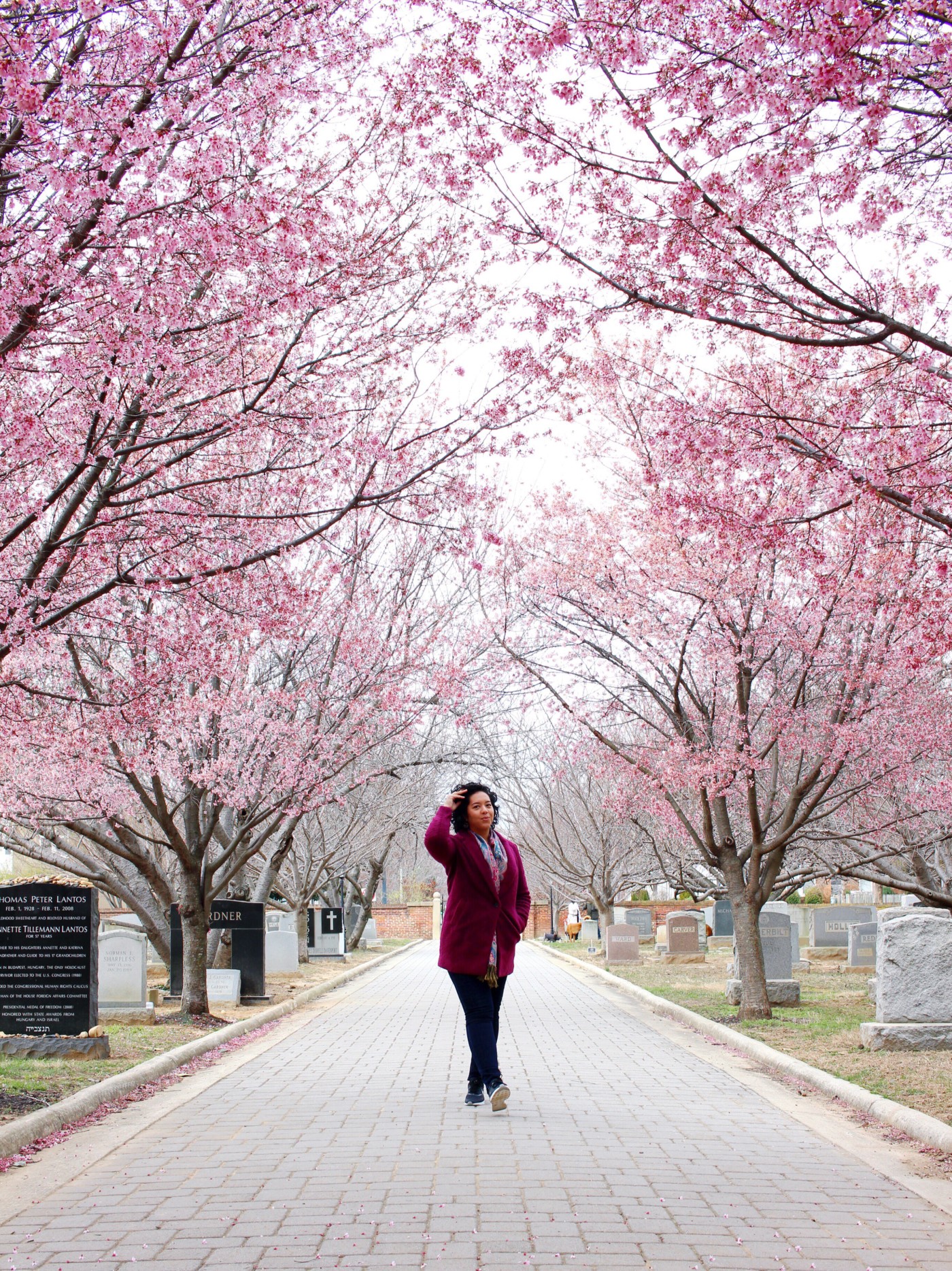 31-birthday-congressional-cemetery-dc-setarra