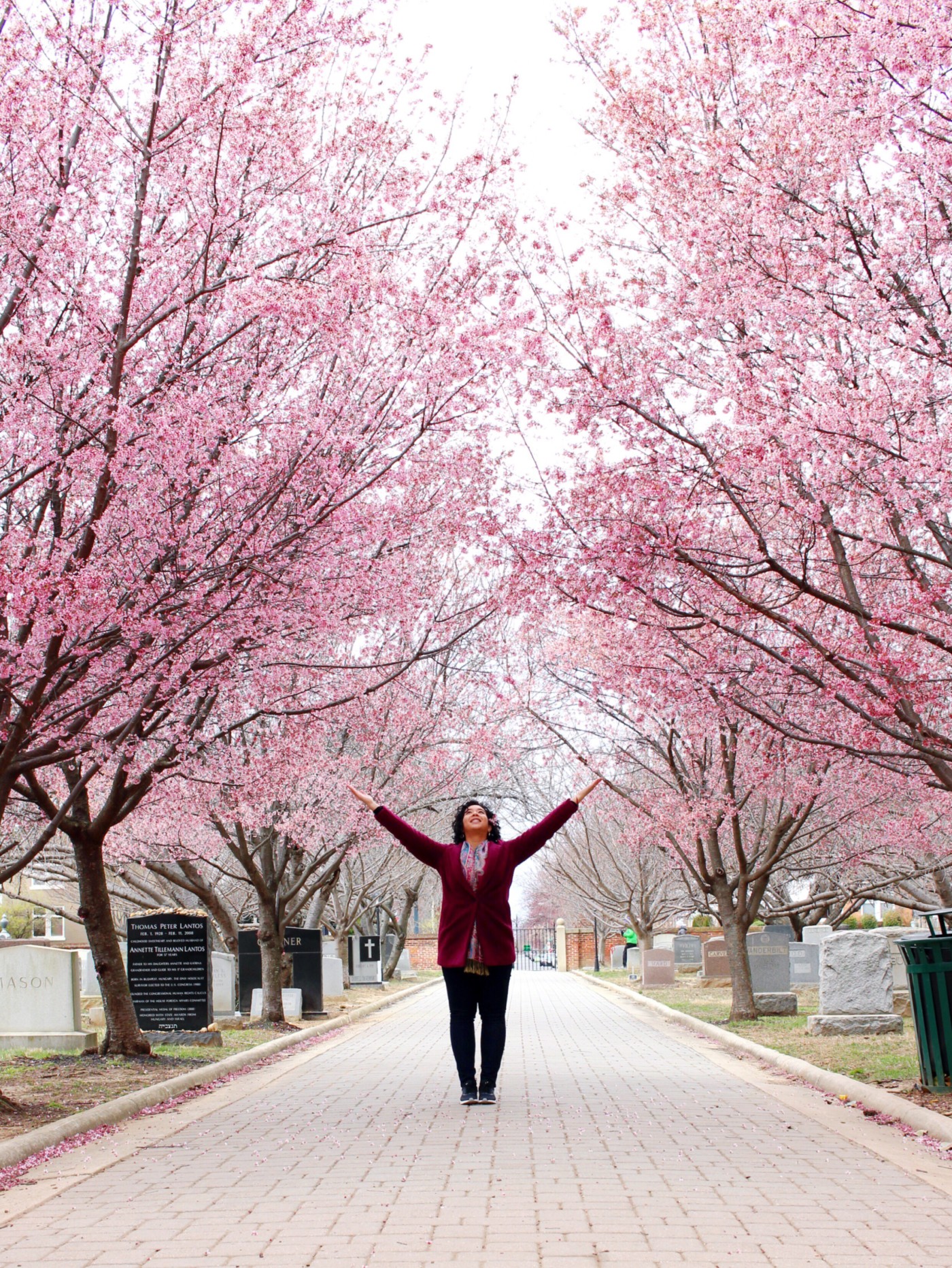 31-birthday-congressional-cemetery-dc-setarra