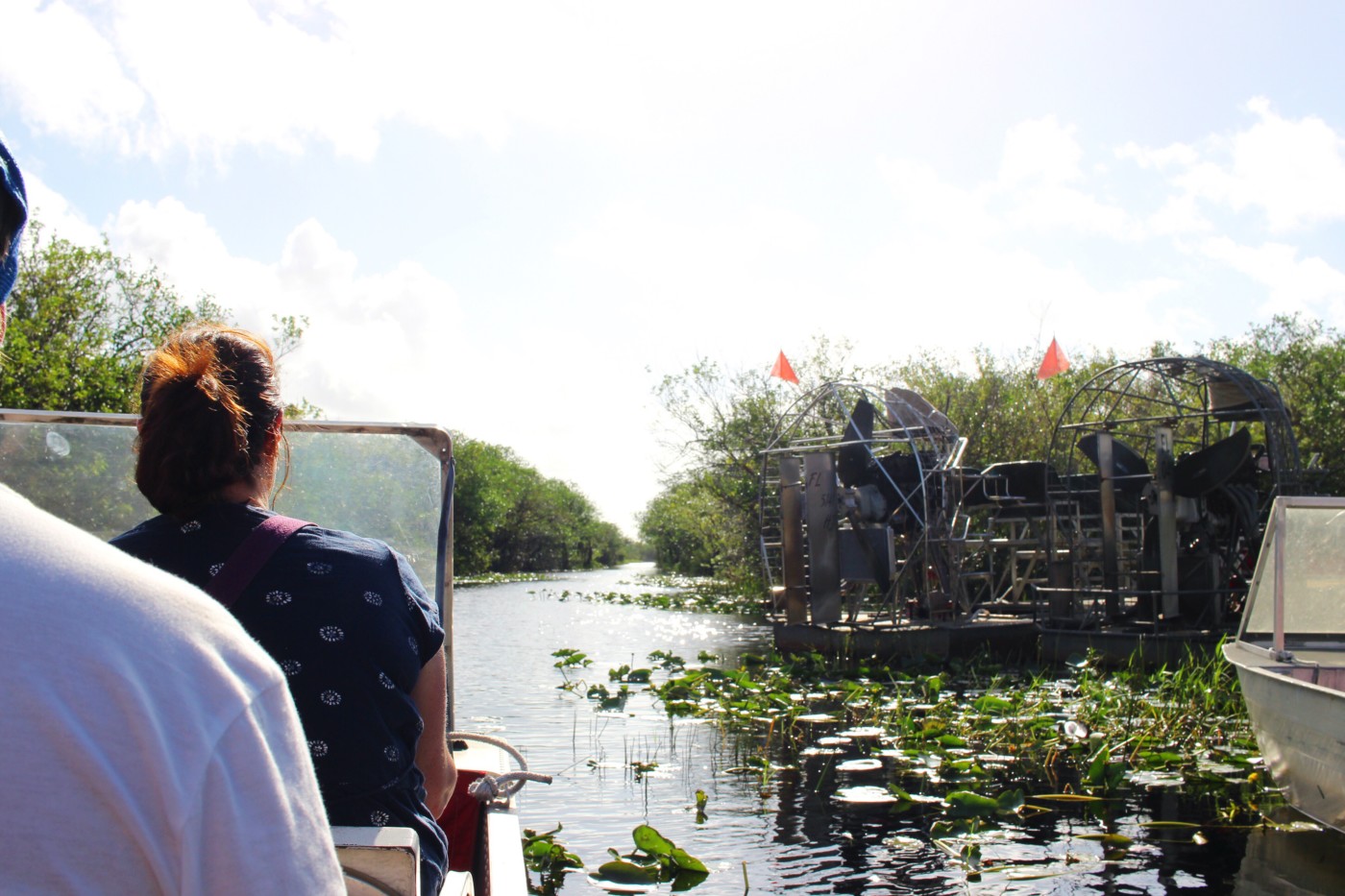 everglades-airboat-tour-gator-park-miami-florida-setarra