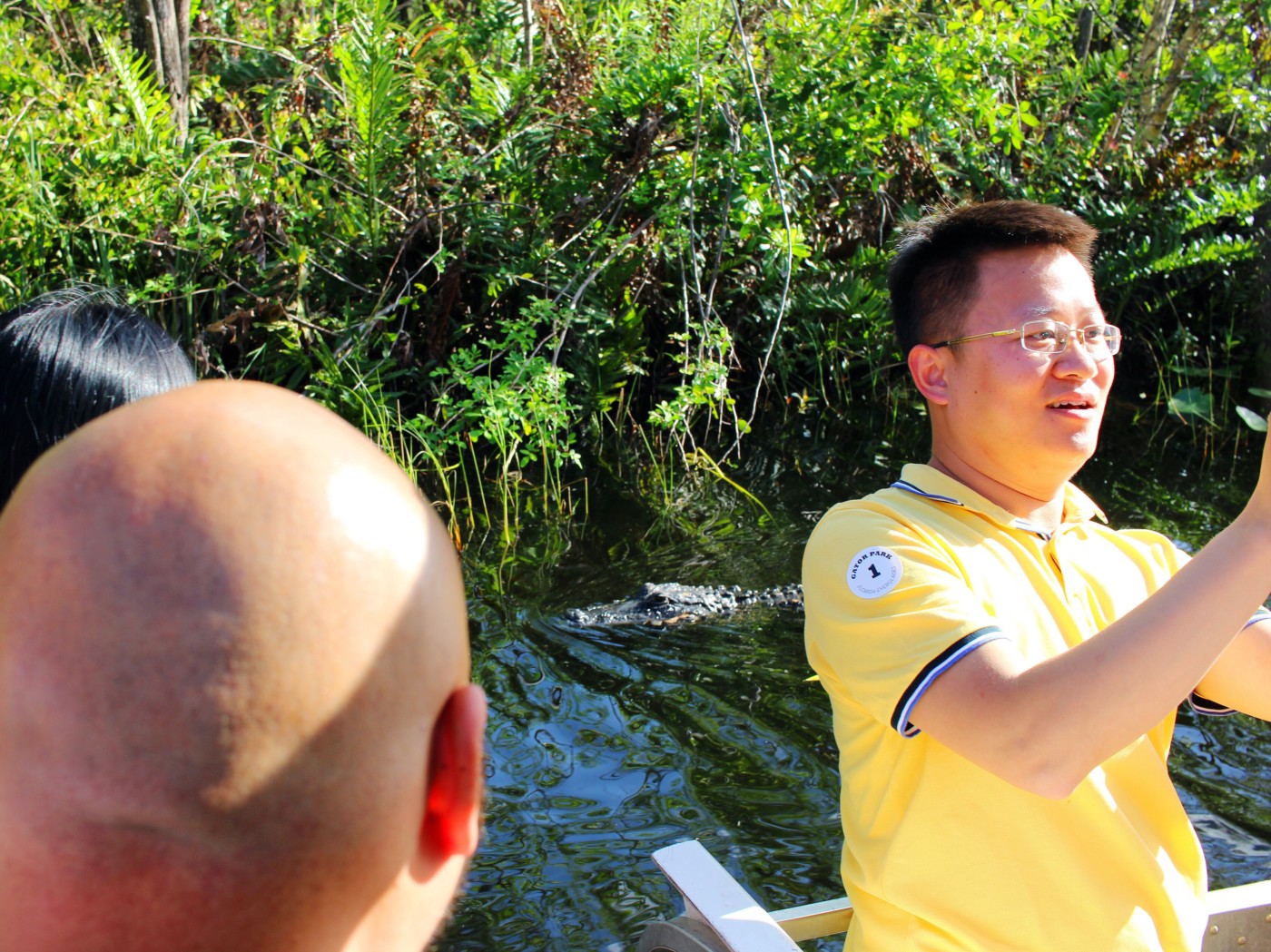 everglades-airboat-tour-gator-park-miami-florida-setarra