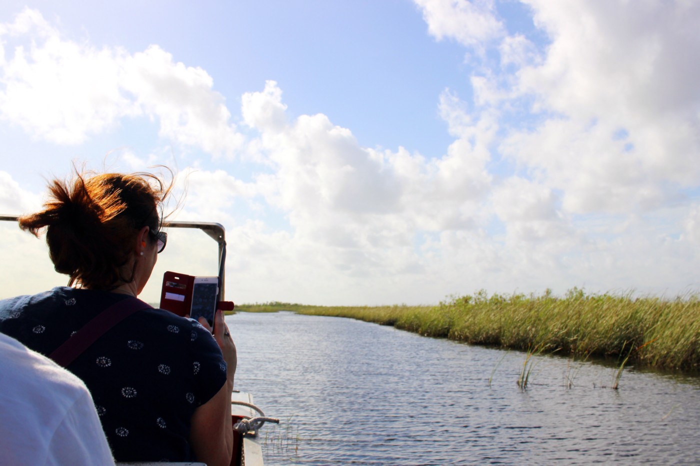 everglades-airboat-tour-gator-park-miami-florida-setarra