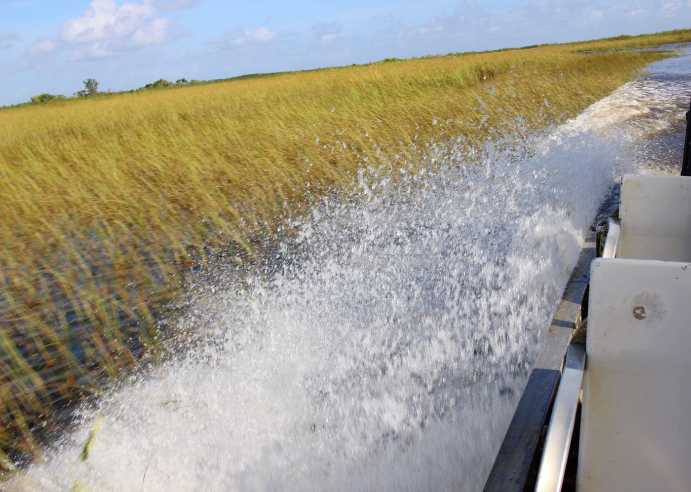 everglades-airboat-tour-gator-park-miami-florida-setarra