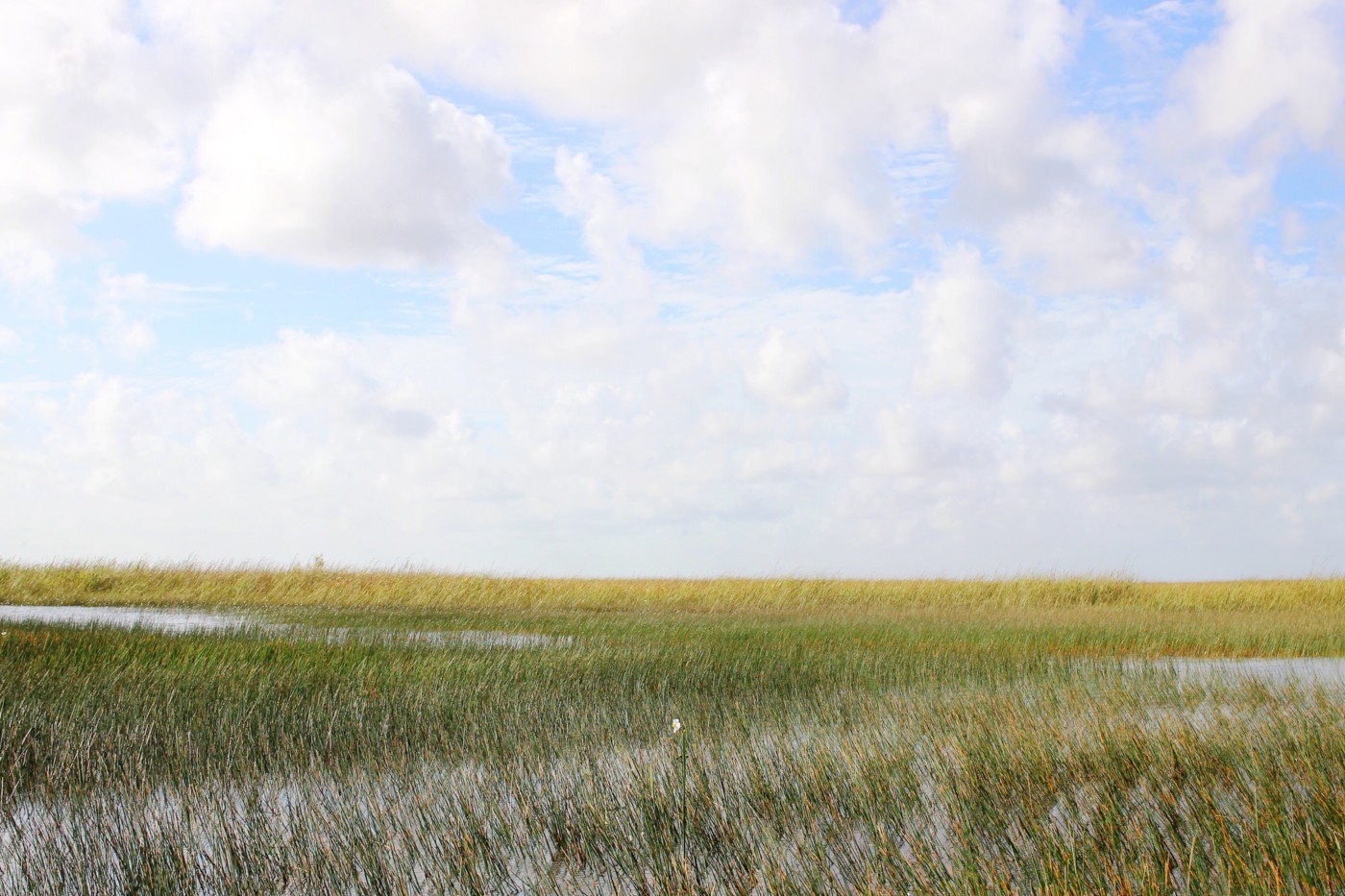 everglades-airboat-tour-gator-park-miami-florida-setarra