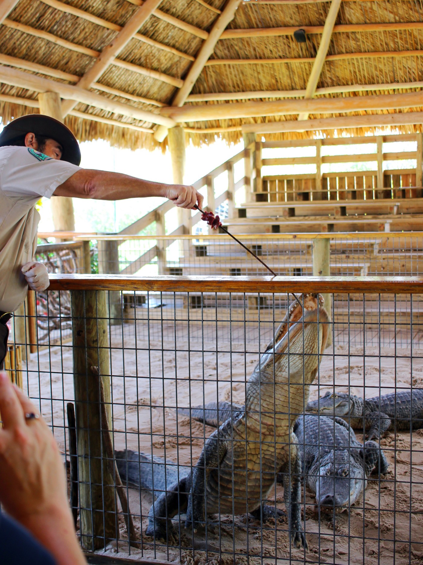 Gator Park in Miami Beach: 2 reviews and 12 photos