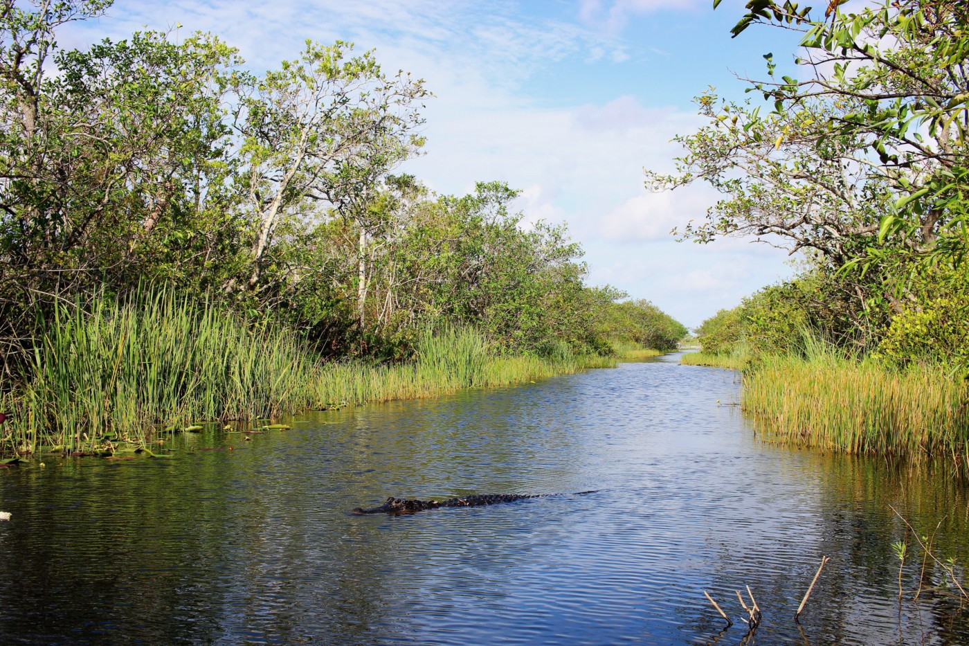 everglades-airboat-tour-gator-park-miami-florida-setarra