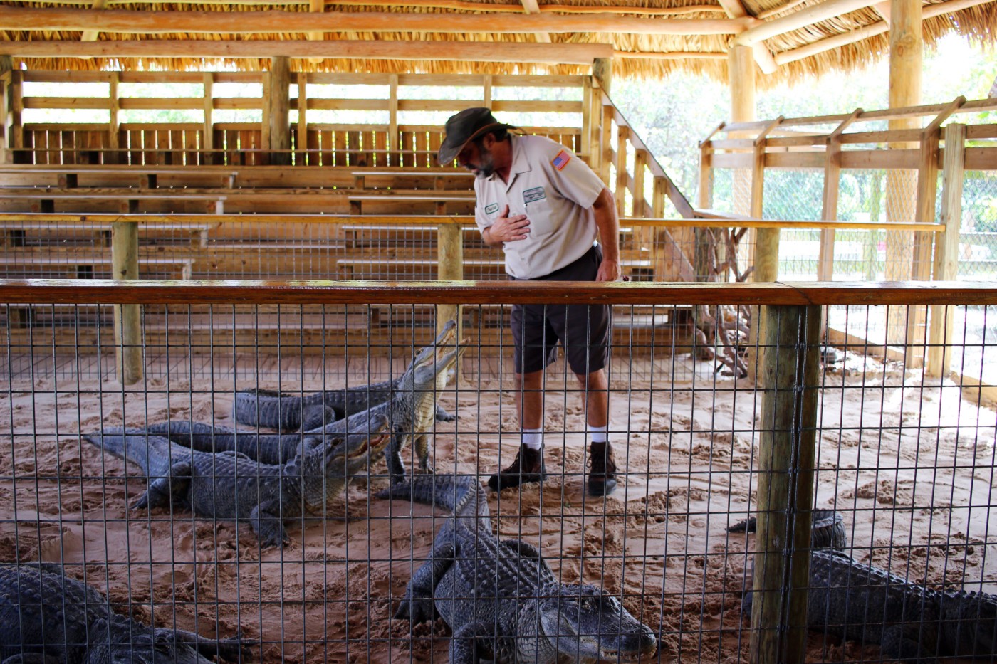 gator-park-miami-florida-setarra