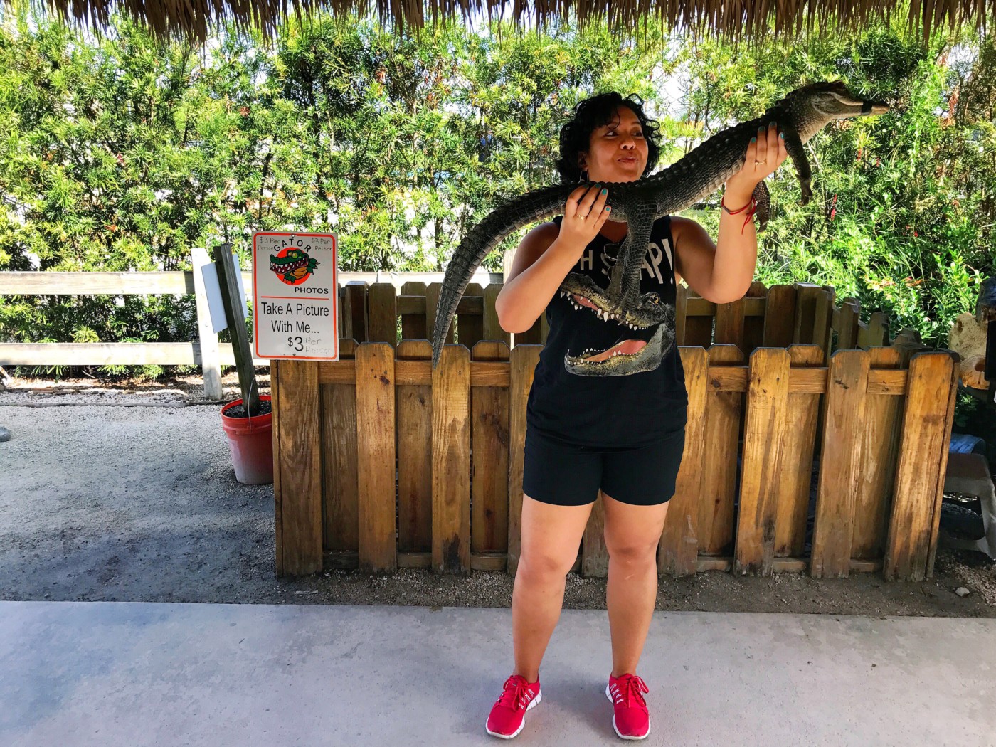 gator-park-miami-florida-setarra