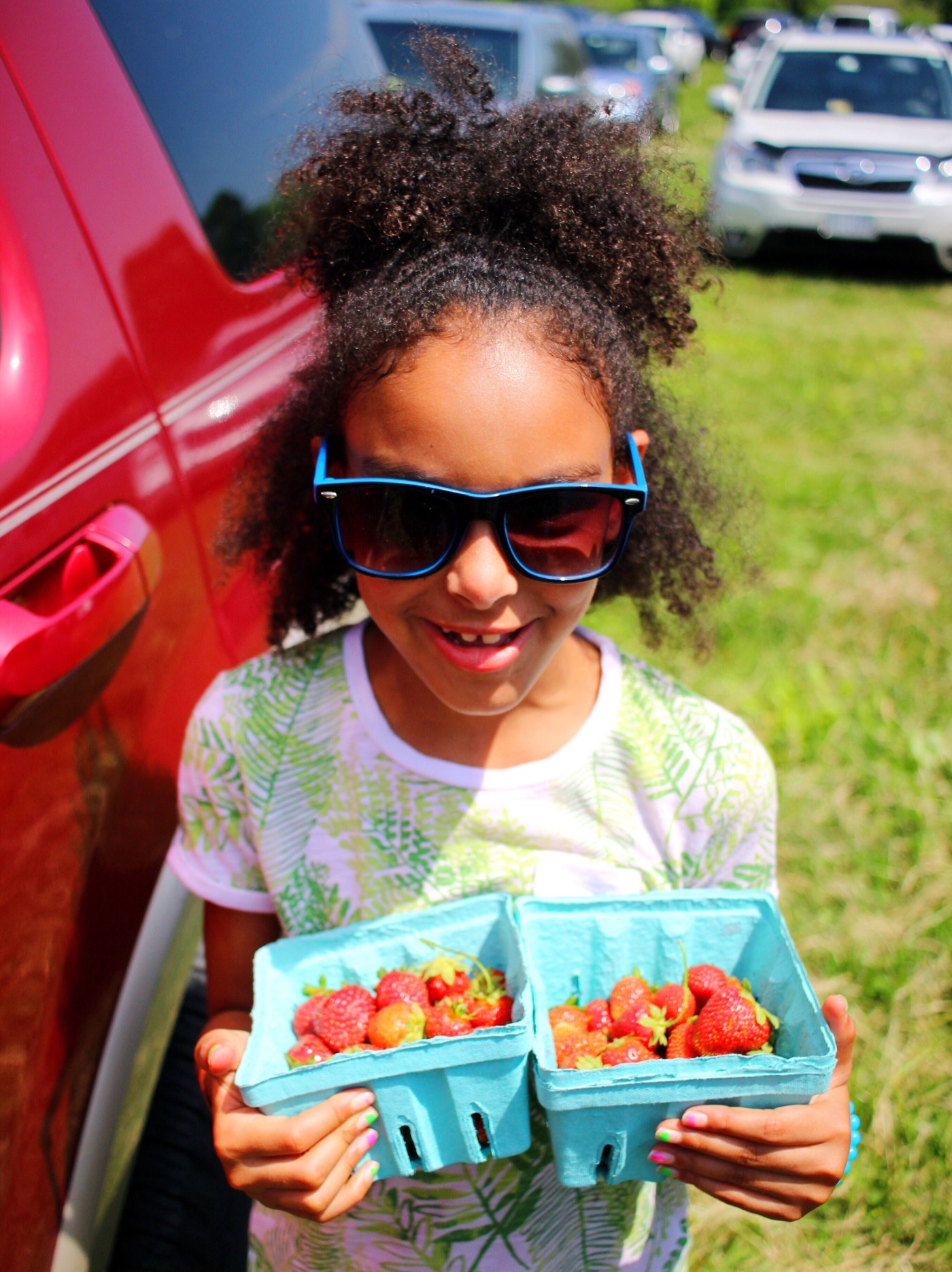 strawberry-picking-setarra