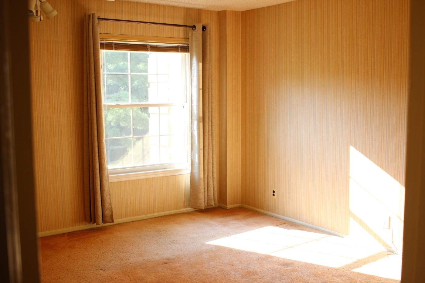 before-the-renovation-photos-setarra