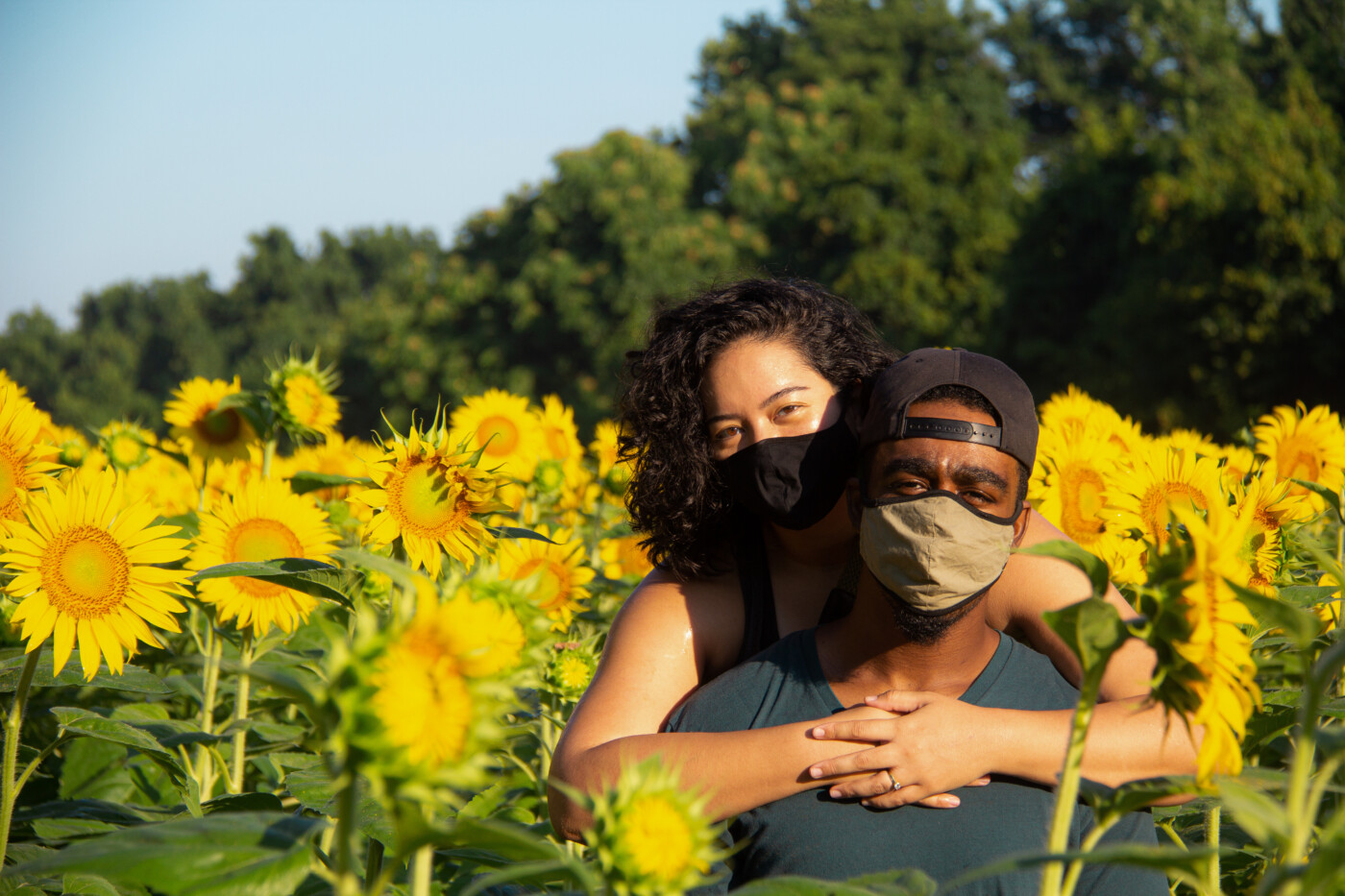 sunflowers at mckee beshers setarra pandemic facemask