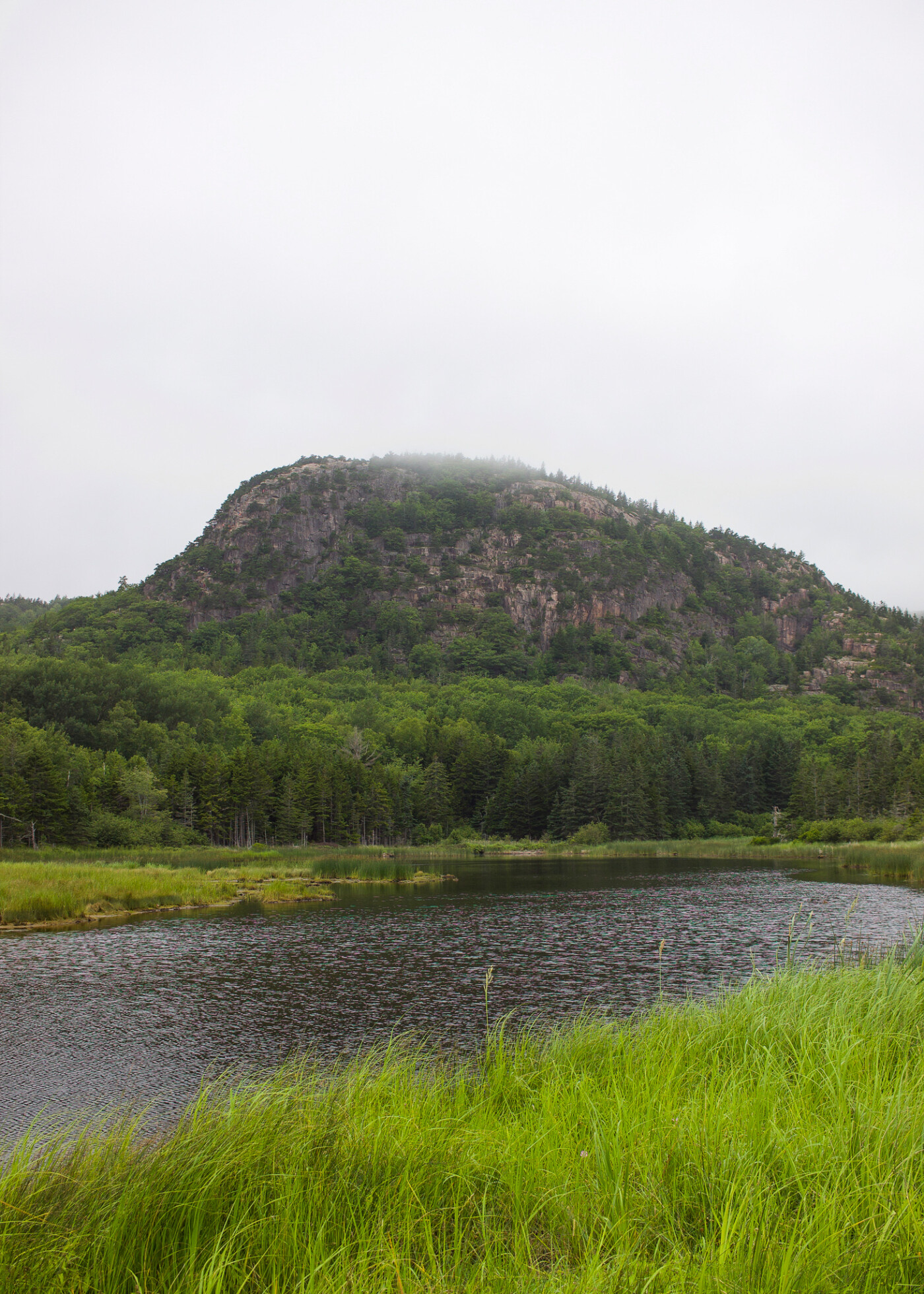 day-trip-to-acadia-national-park-maine-setarra