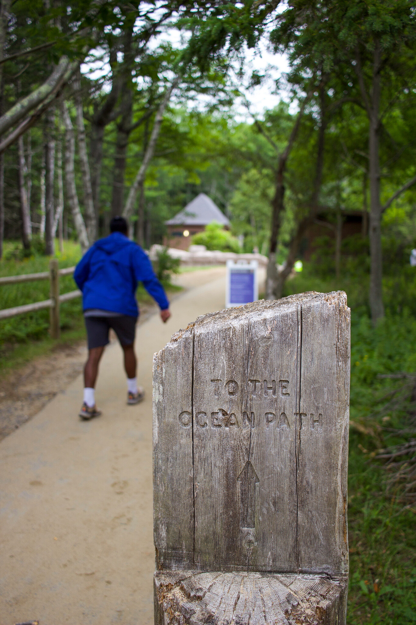 day-trip-to-acadia-national-park-maine-setarra