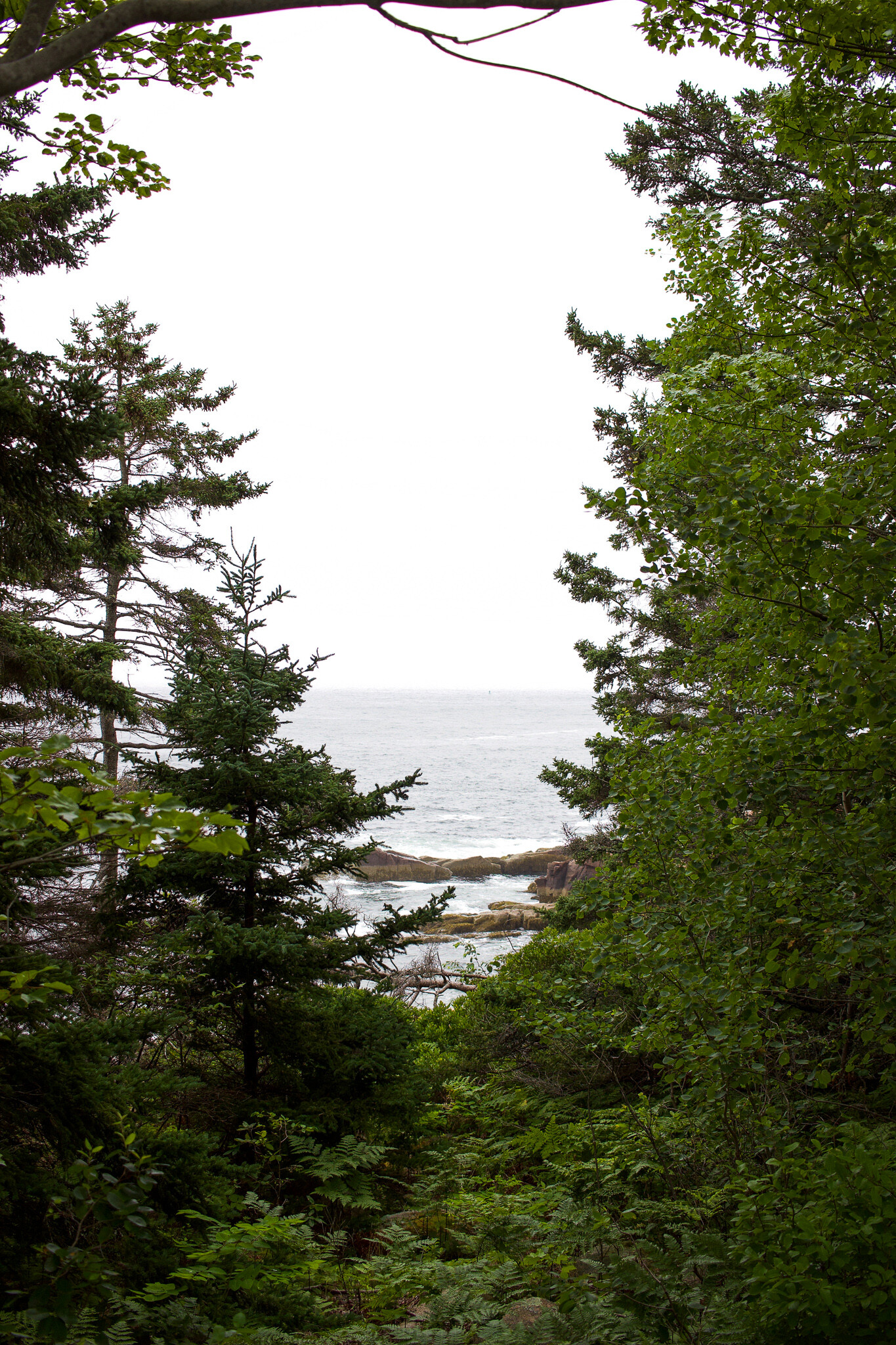 day-trip-to-acadia-national-park-maine-setarra