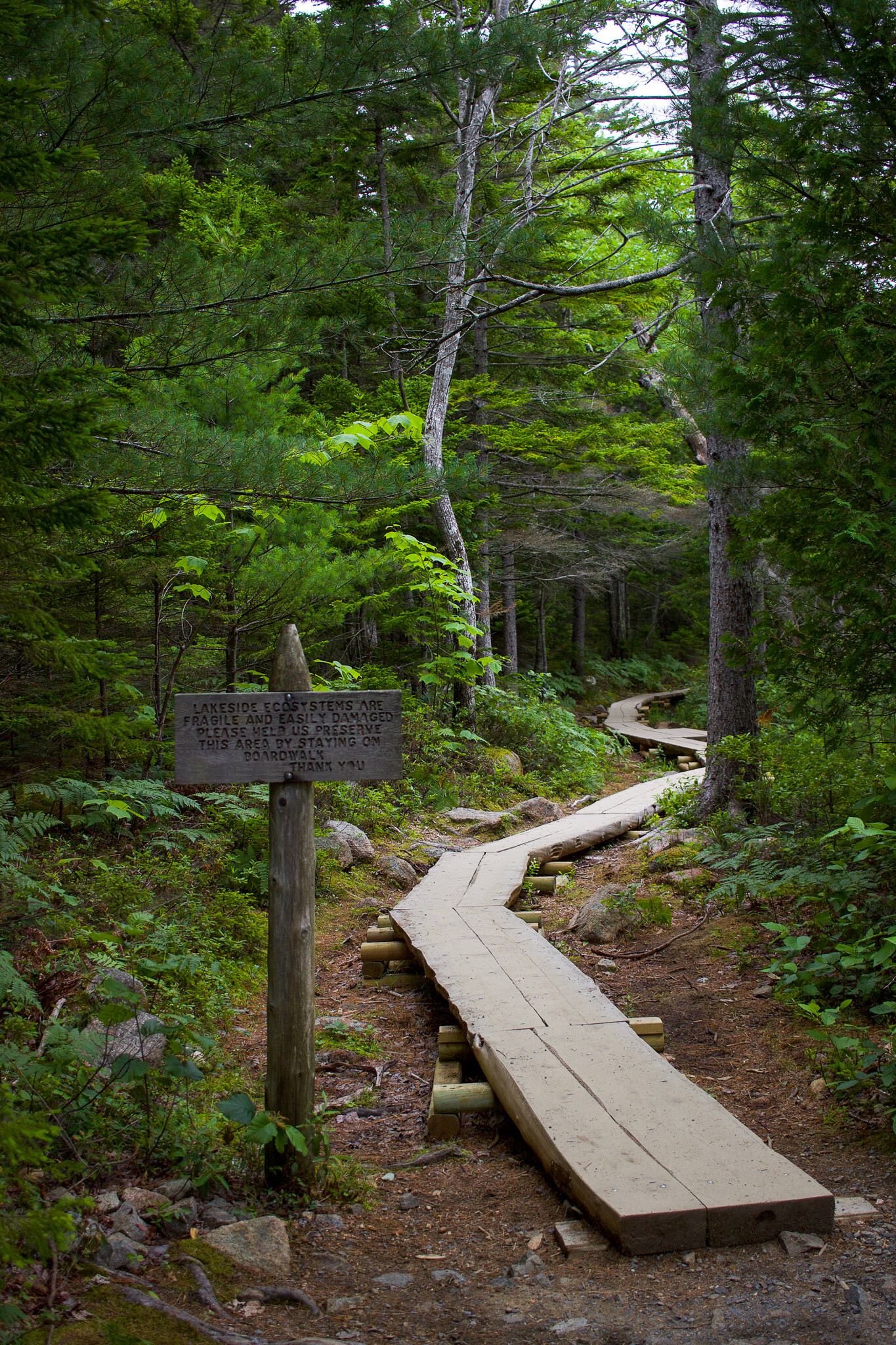 day-trip-to-acadia-national-park-maine-setarra